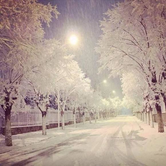 Meet your Posher, Ky - Picture 1 of 1